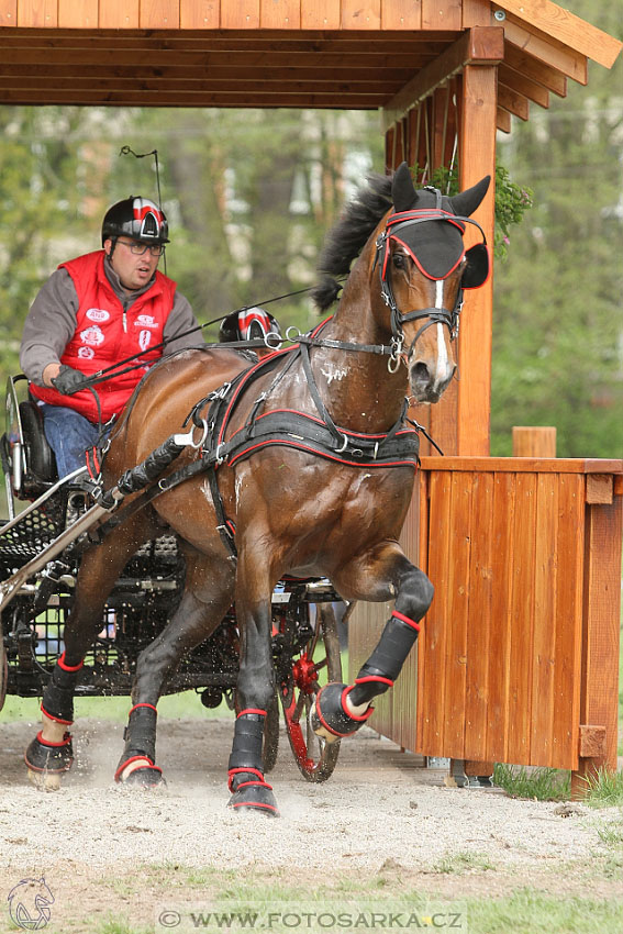 Rudolfův pohár 2016 - 4.den