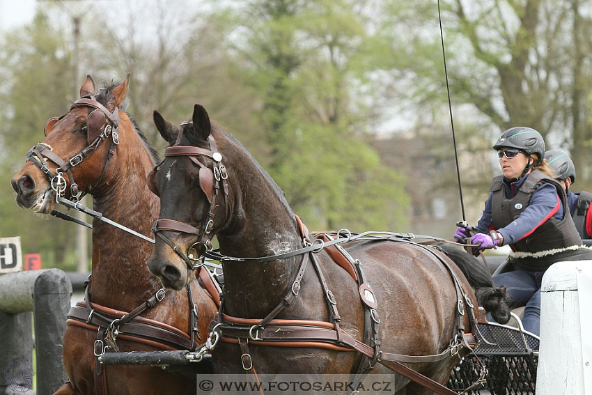 Rudolfův pohár 2016 - 4.den