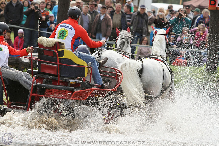 Rudolfův pohár 2016 - 4.den