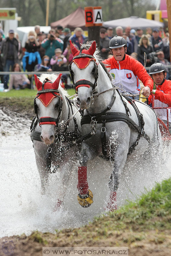 Rudolfův pohár 2016 - 4.den