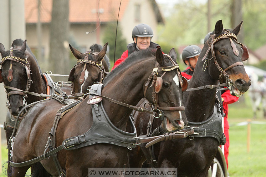 Rudolfův pohár 2016 - 4.den