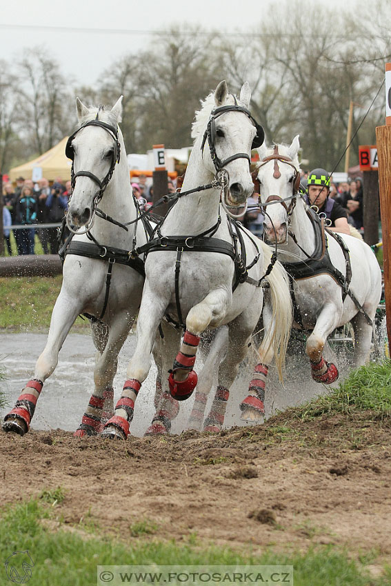 Rudolfův pohár 2016 - 4.den