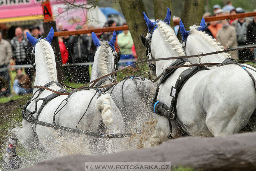 Rudolfův pohár 2016 - 4.den