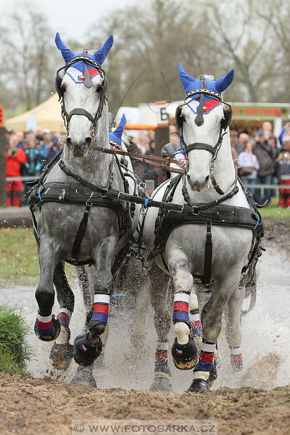 Rudolfův pohár 2016 - 4.den