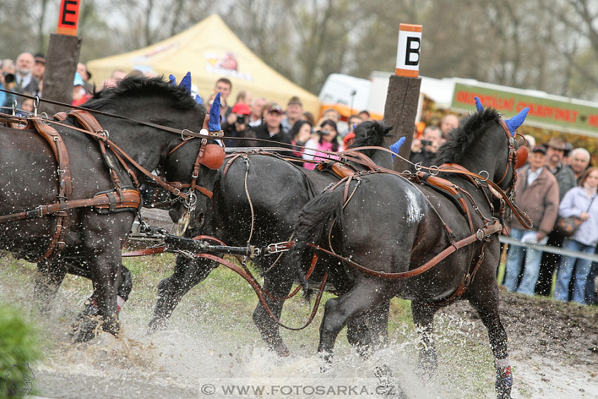 Rudolfův pohár 2016 - 4.den