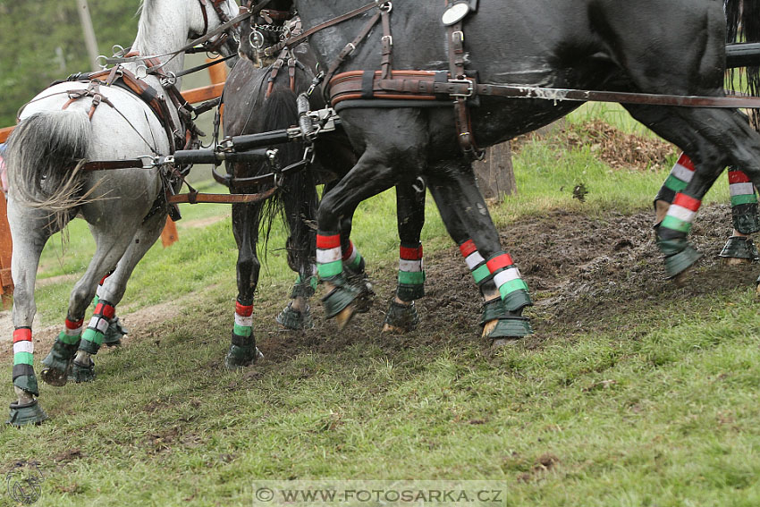 Rudolfův pohár 2016 - 4.den