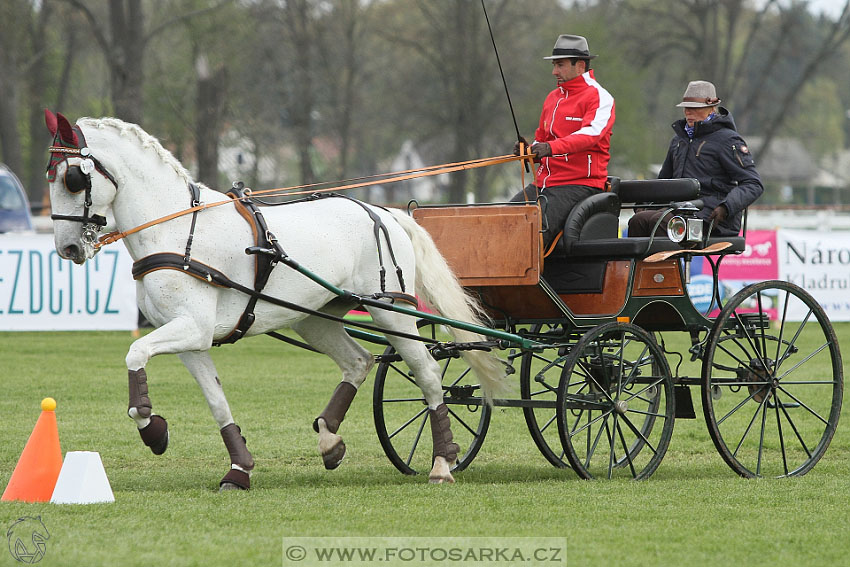 Rudolfův pohár 2016 - 5.den