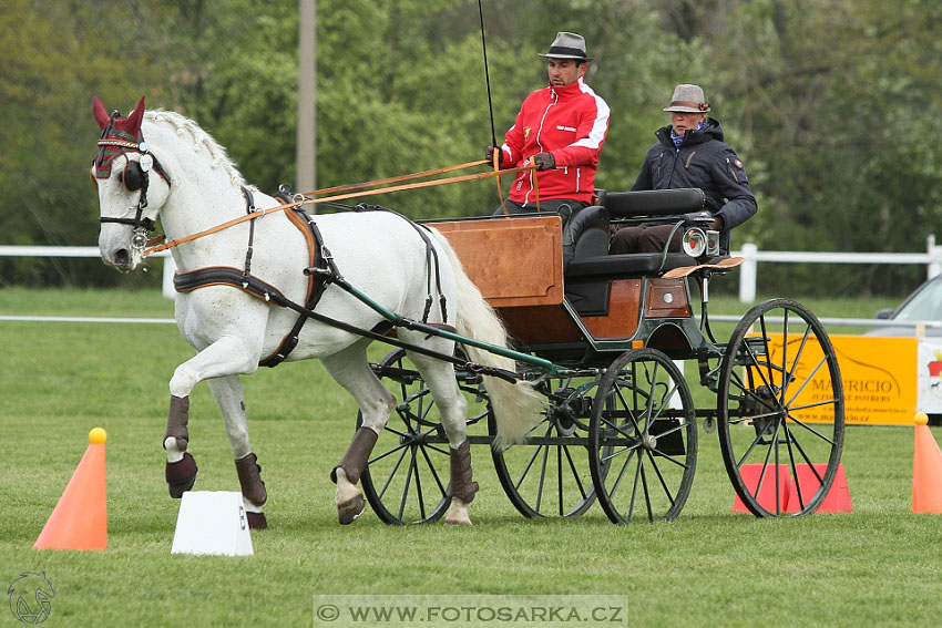 Rudolfův pohár 2016 - 5.den