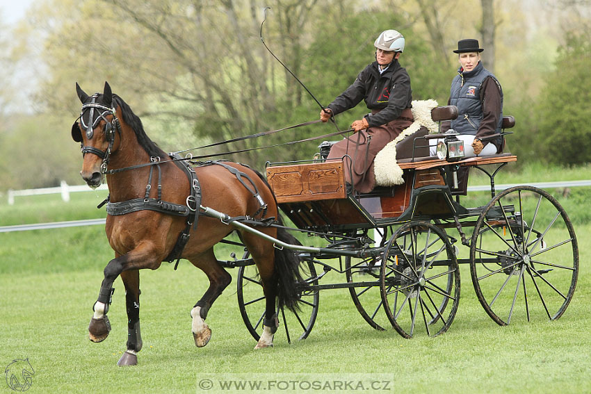 Rudolfův pohár 2016 - 5.den