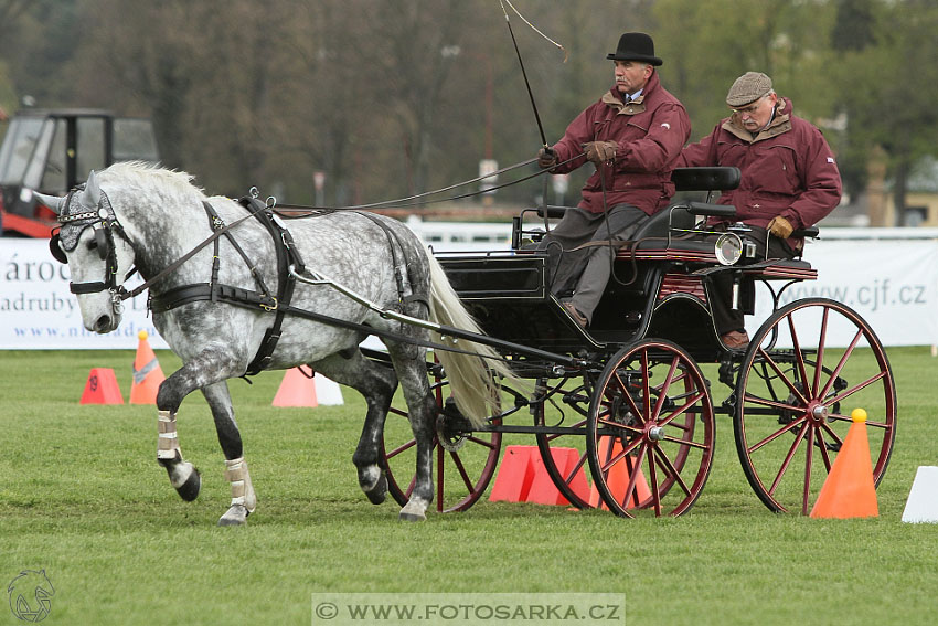 Rudolfův pohár 2016 - 5.den