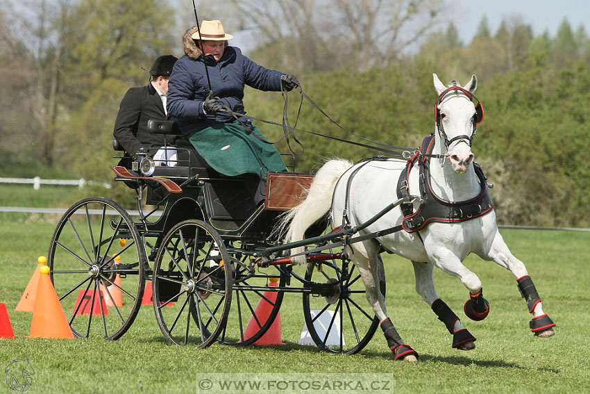 Rudolfův pohár 2016 - 5.den