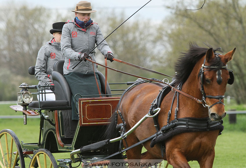 Rudolfův pohár 2016 - 5.den