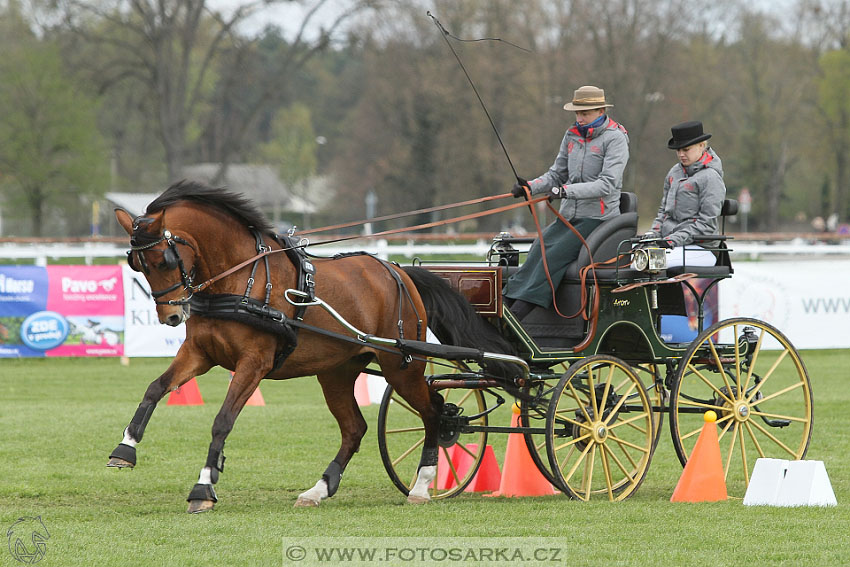 Rudolfův pohár 2016 - 5.den