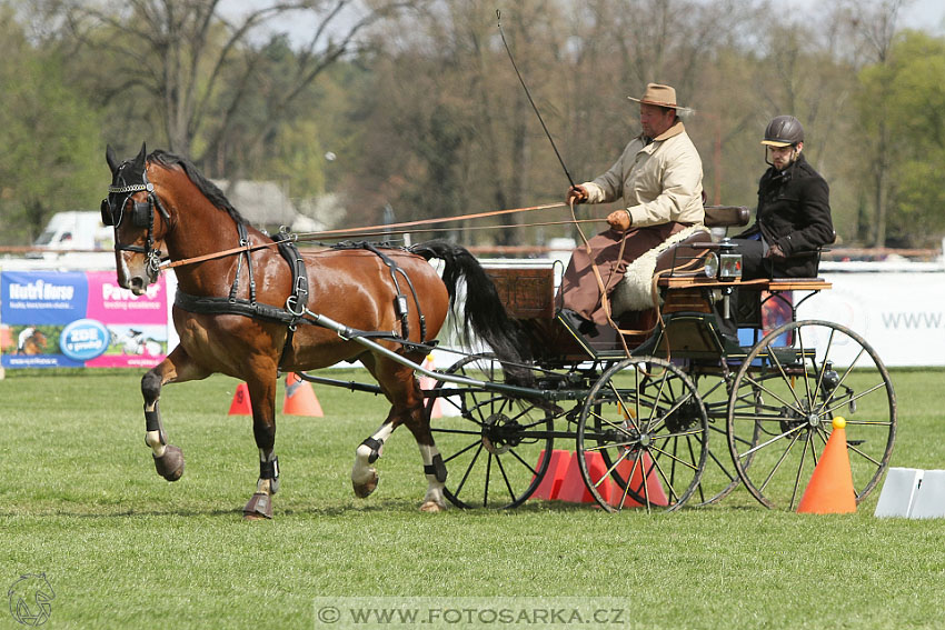 Rudolfův pohár 2016 - 5.den