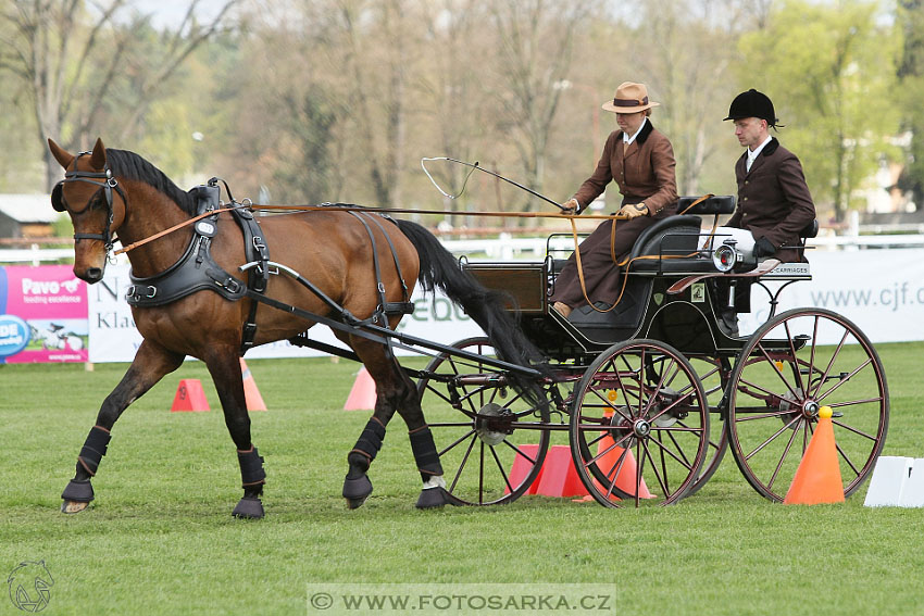 Rudolfův pohár 2016 - 5.den