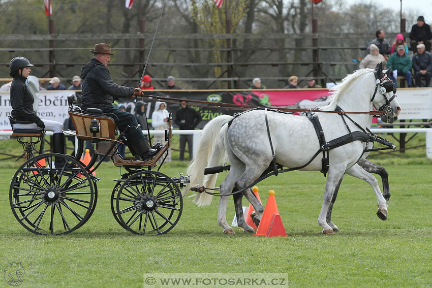 Rudolfův pohár 2016 - 5.den