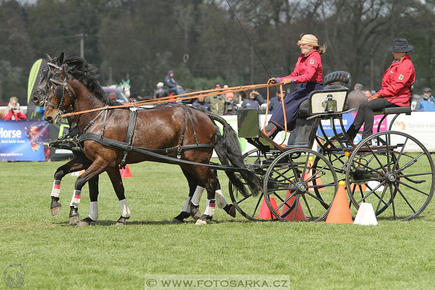 Rudolfův pohár 2016 - 5.den