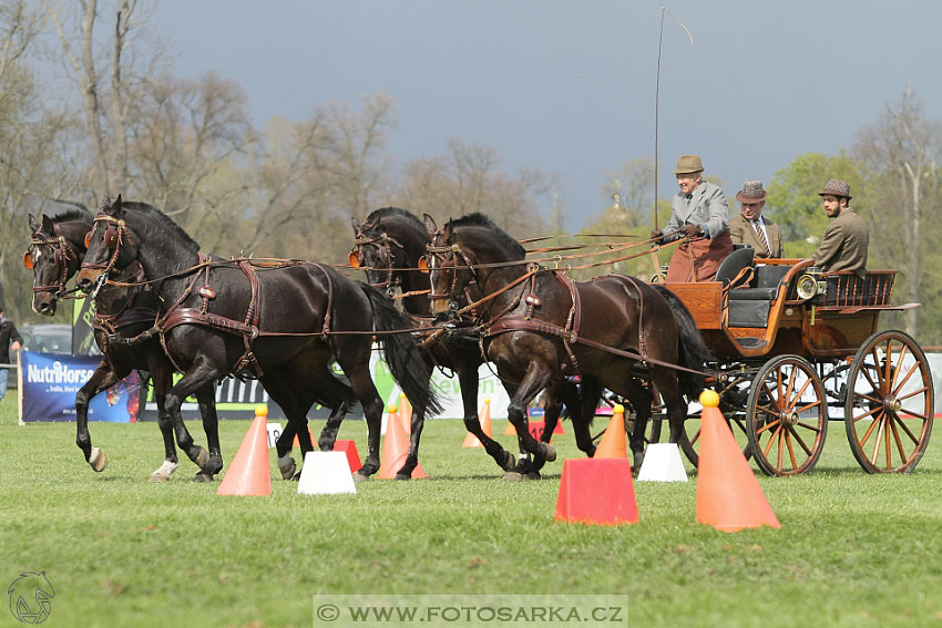 Rudolfův pohár 2016 - 5.den