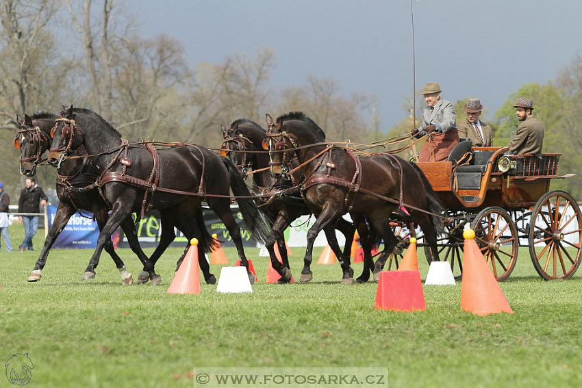 Rudolfův pohár 2016 - 5.den