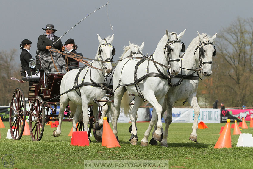 Rudolfův pohár 2016 - 5.den