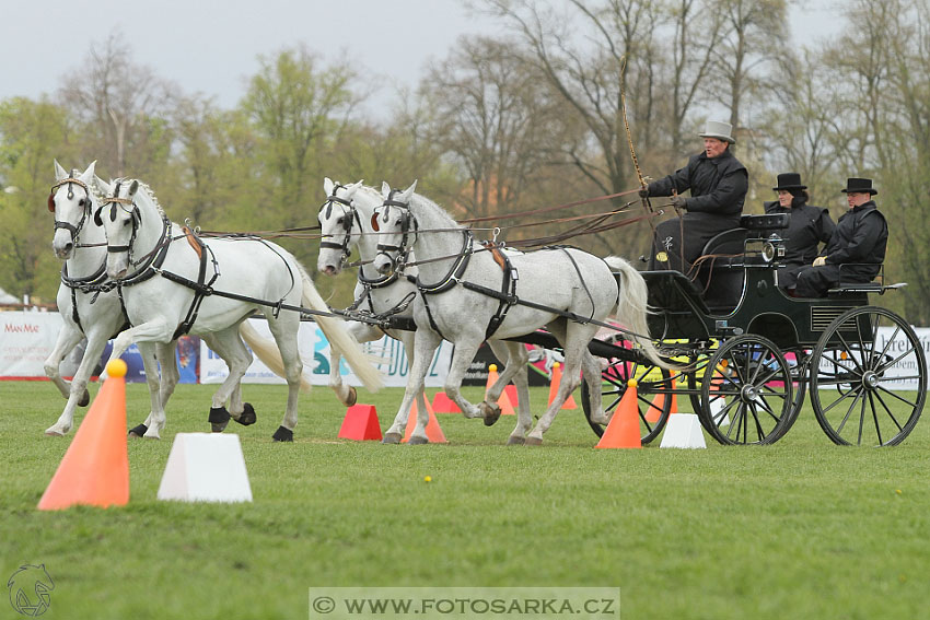 Rudolfův pohár 2016 - 5.den