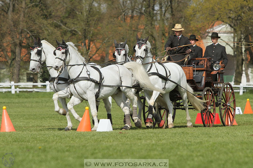 Rudolfův pohár 2016 - 5.den