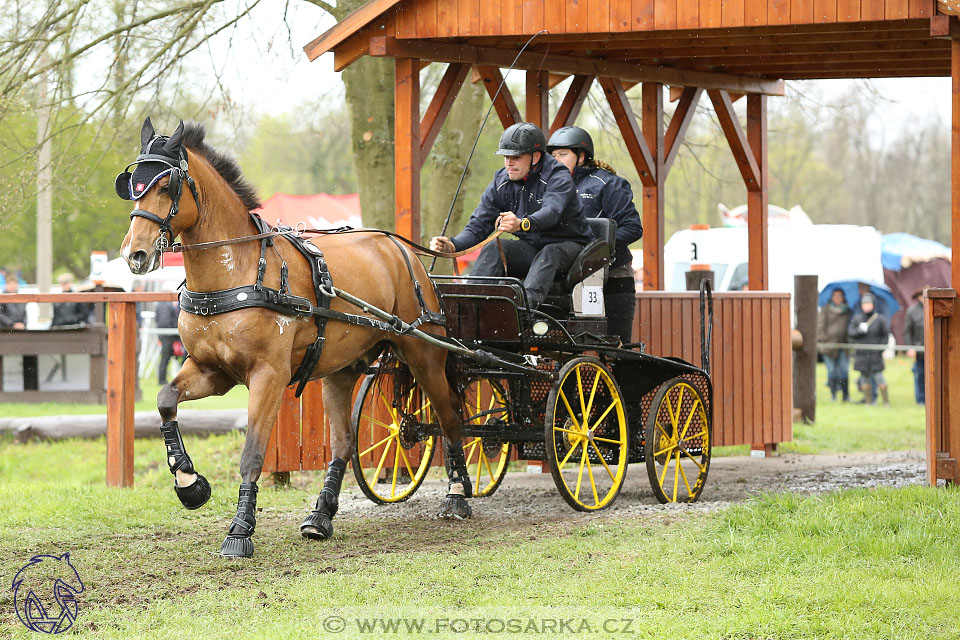 Rudolfův pohár 2017 - marathon sobota