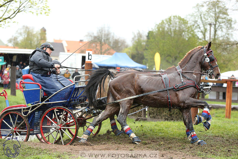 Rudolfův pohár 2017 - marathon sobota