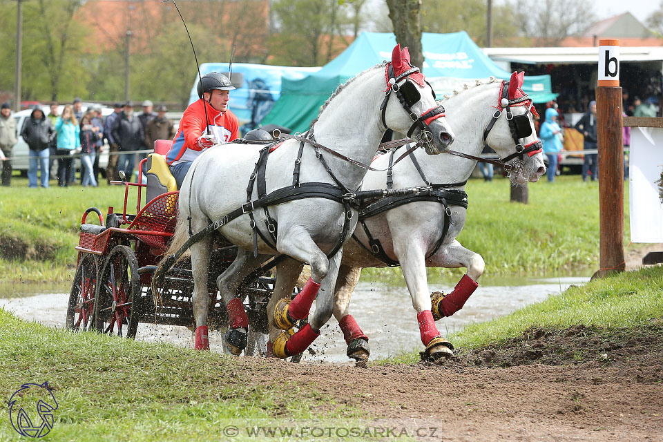 Rudolfův pohár 2017 - marathon sobota