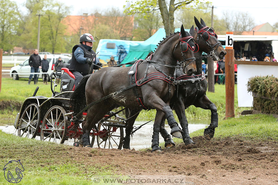 Rudolfův pohár 2017 - marathon sobota