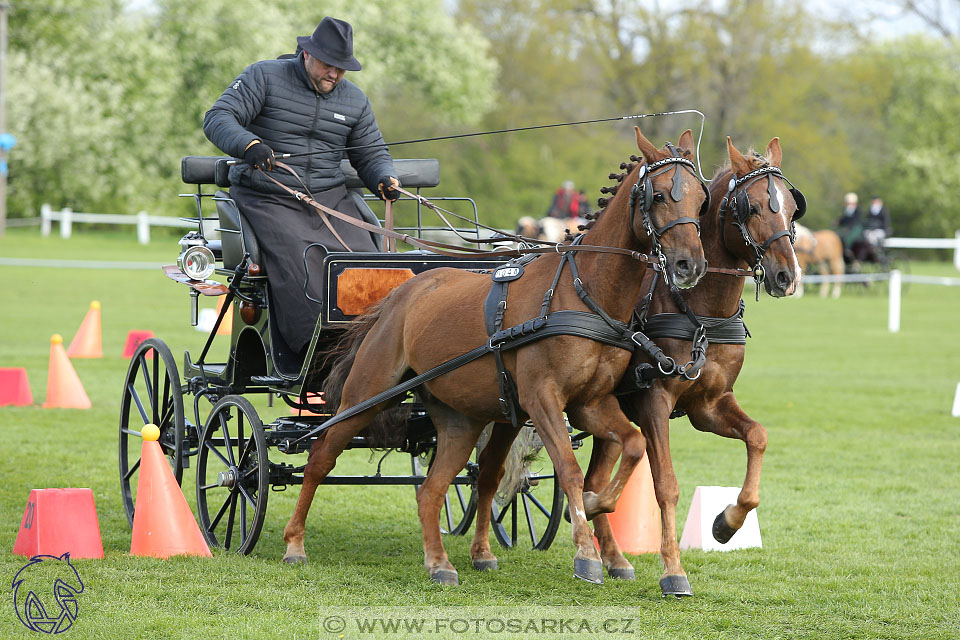 Rudolfův pohár 2017 - parkur neděle