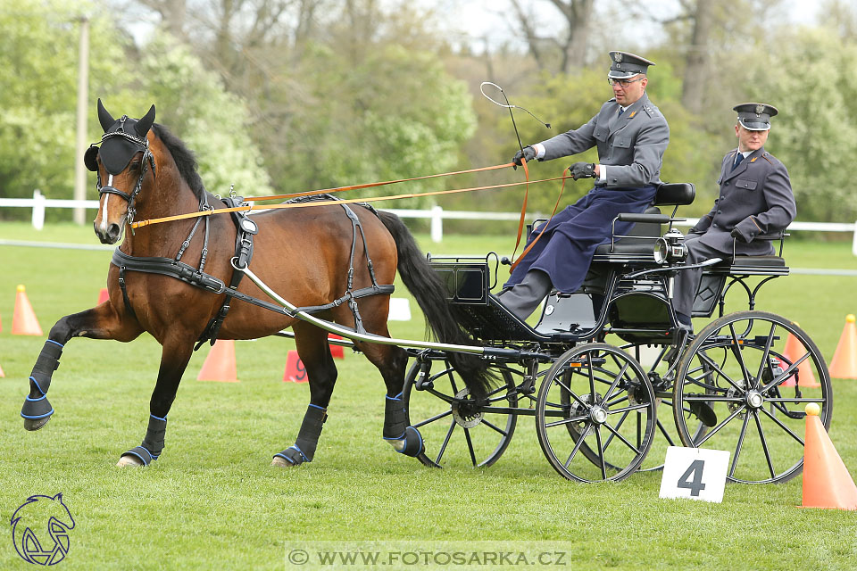 Rudolfův pohár 2017 - parkur neděle