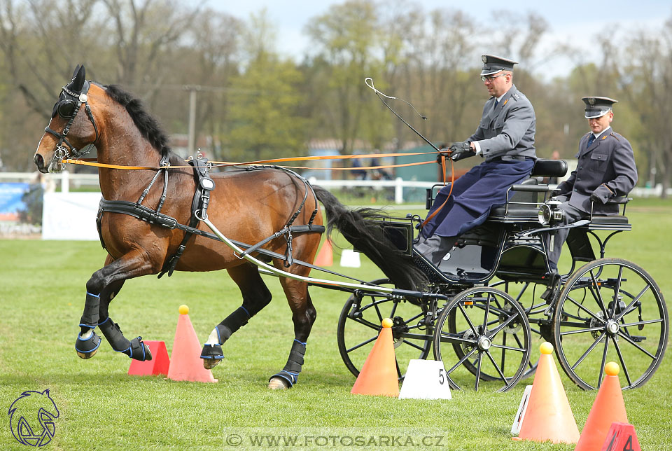 Rudolfův pohár 2017 - parkur neděle