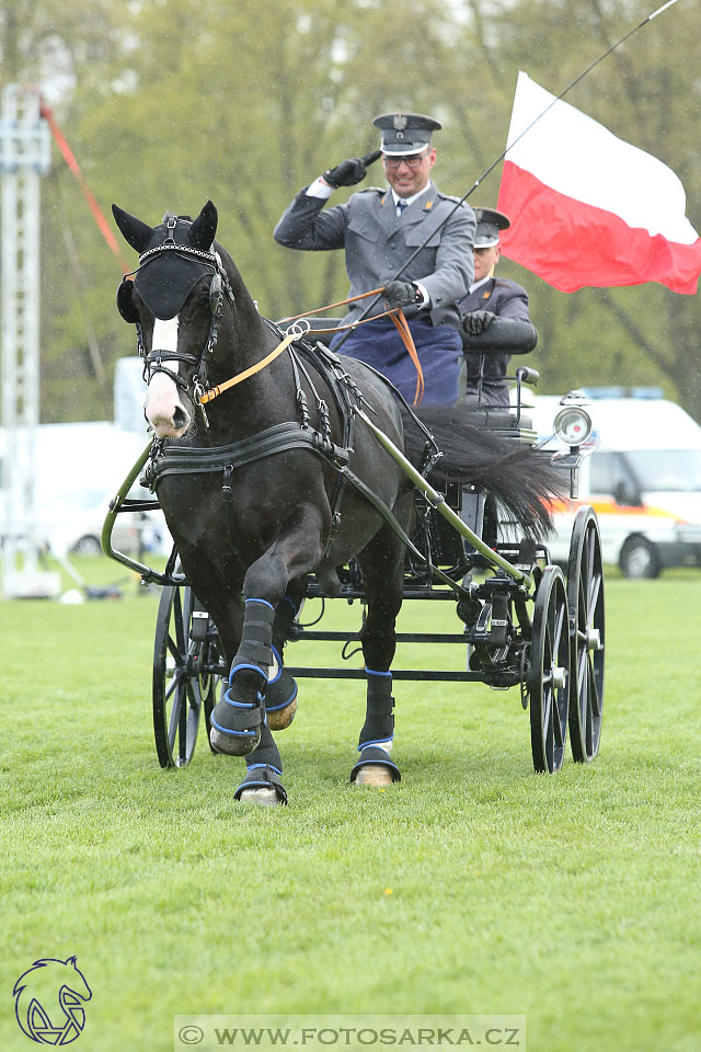 Rudolfův pohár 2017 - parkur neděle