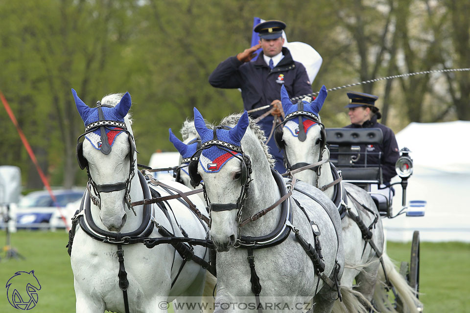 Rudolfův pohár 2017 - parkur neděle