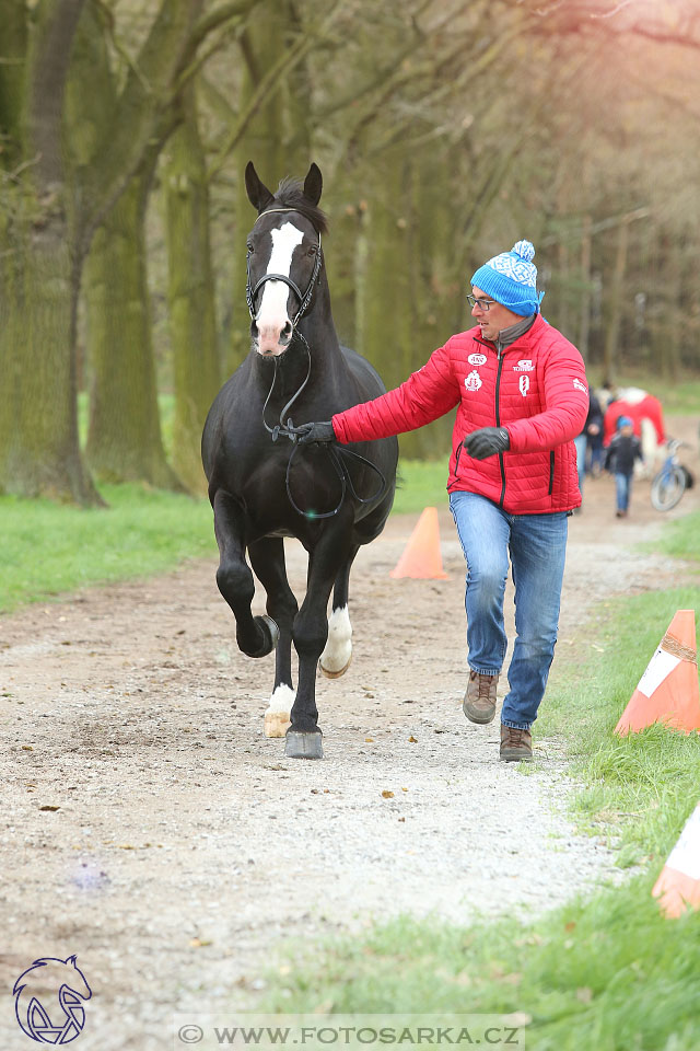 Rudolfův pohár 2017 - veterinární kontrola