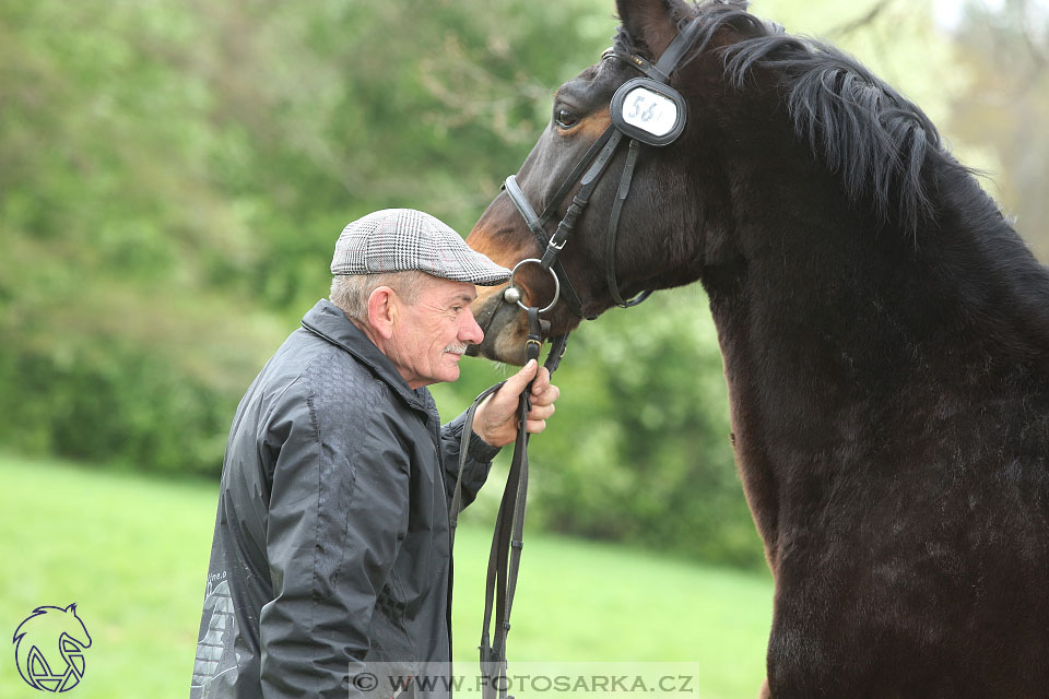 Rudolfův pohár 2017 - veterinární kontrola