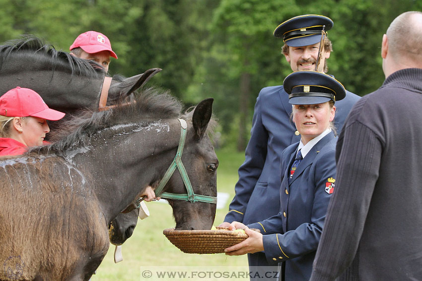 SLATIŇANSKÉ POZASTAVENÍ