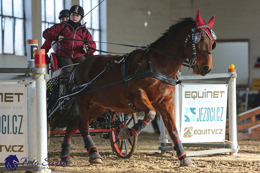 Slatiňany 2019 - spřežení