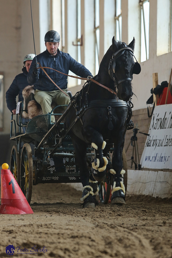 Slatiňany 2019 - spřežení