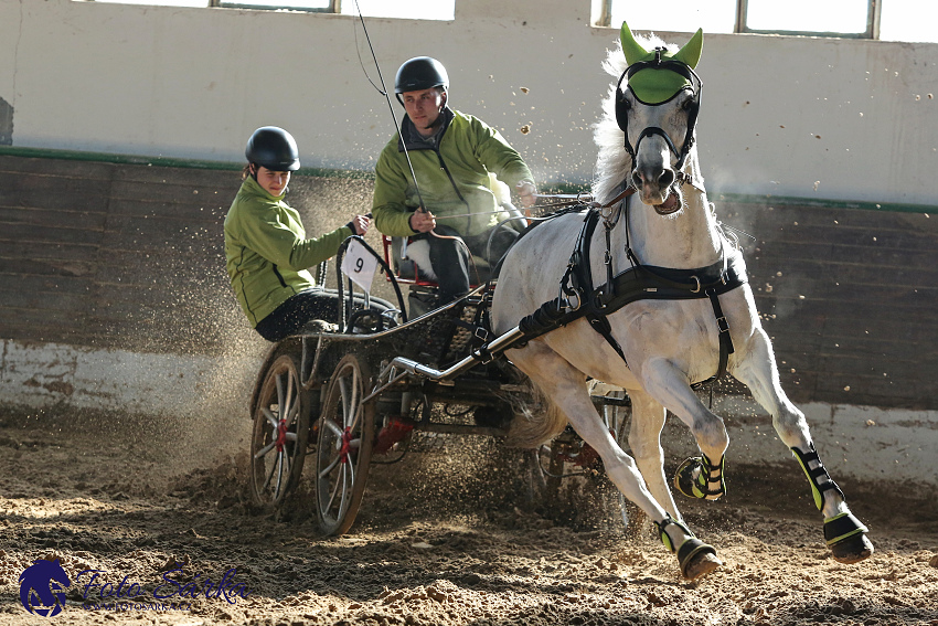 Slatiňany 2019 - spřežení