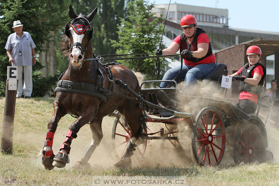 spřežení Pardubice