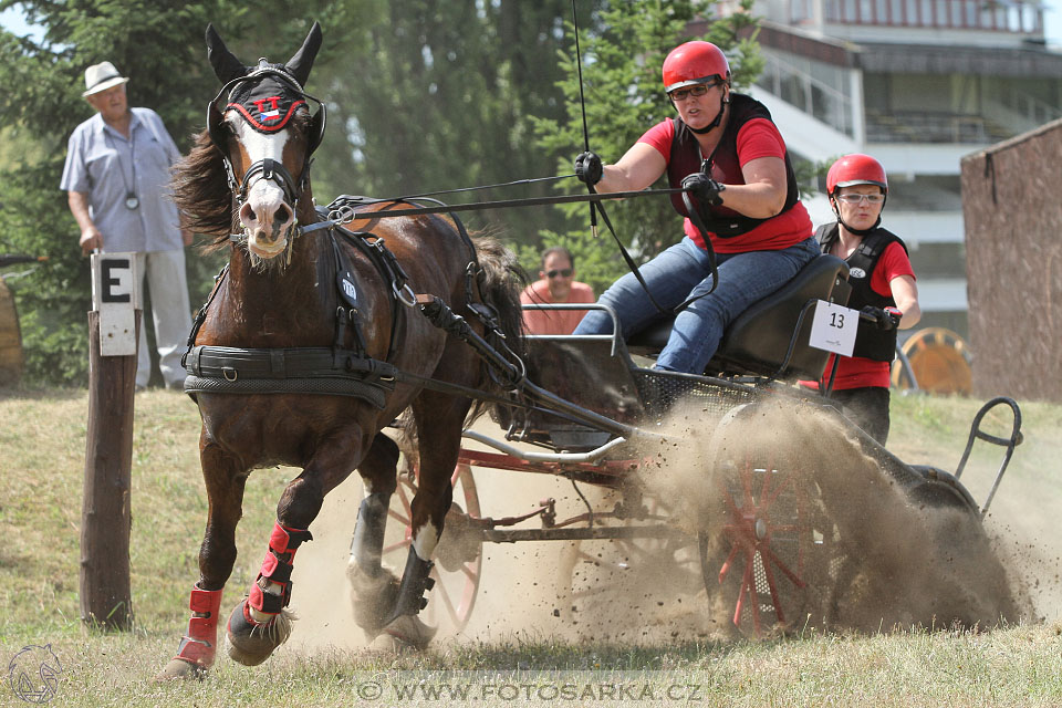 spřežení Pardubice