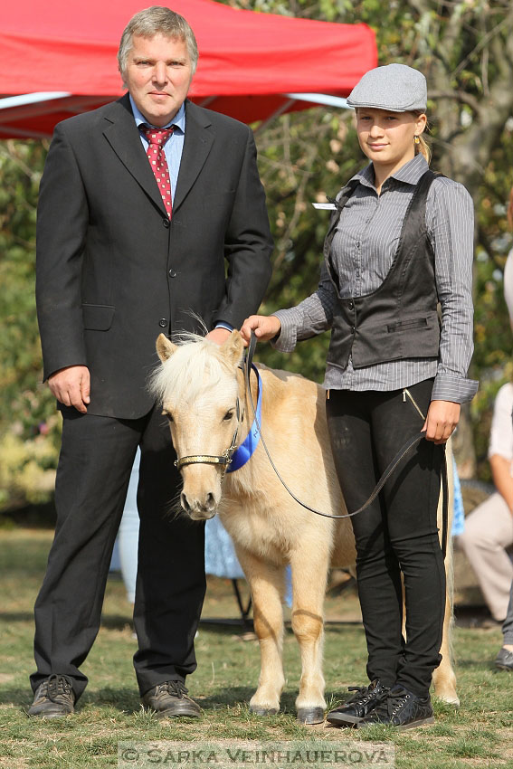 Výstava minihorse 