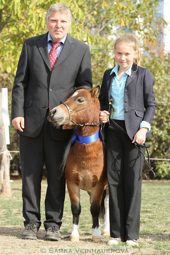 Výstava minihorse 