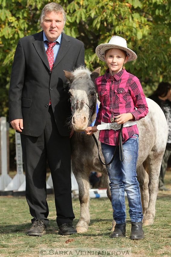 Výstava minihorse 