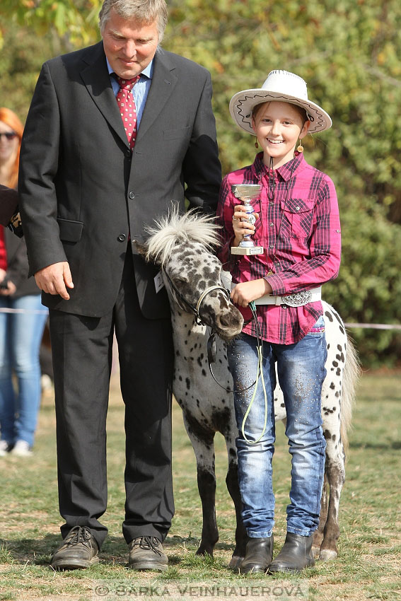 Výstava minihorse 