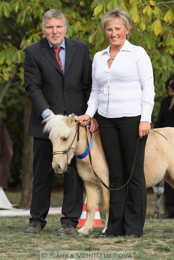 Výstava minihorse 