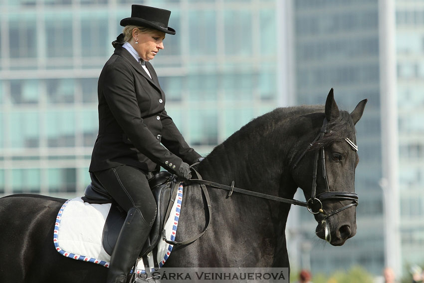 Výstava minihorse 