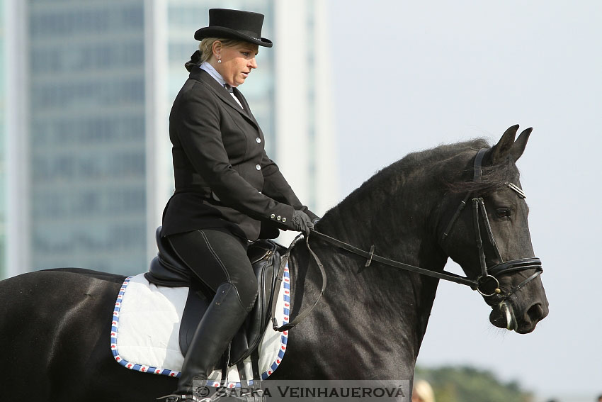 Výstava minihorse 